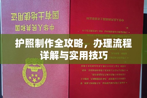 龙岩护照制作全攻略，办理流程详解与实用技巧