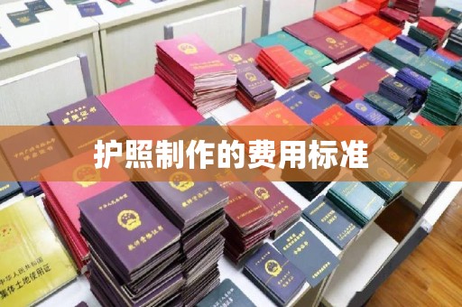 龙岩护照制作的费用标准