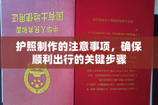 龙岩护照制作的注意事项，确保顺利出行的关键步骤