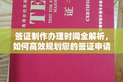 龙岩签证制作办理时间全解析，如何高效规划您的签证申请流程